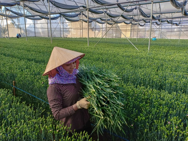 Cảm nhận rất riêng một Đà Lạt thân quen chưa bao giờ cũ - Ảnh 8. Cảm nhận rất riêng một Đà Lạt thân quen chưa bao giờ cũ - Ảnh 8.