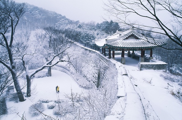 Đến xứ Hàn, thực hiện giấc mơ chạm vào tuyết trắng - Ảnh 2.