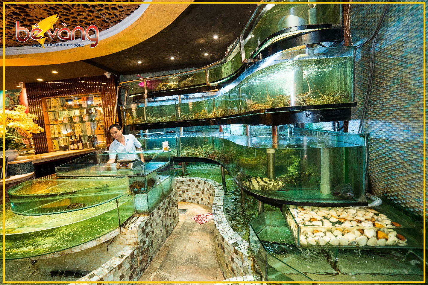 Kh&aacute;m ph&aacute; kh&ocirc;ng gian đặc sắc của nh&agrave; h&agrave;ng B&ecirc; V&agrave;ng - Ảnh 3.