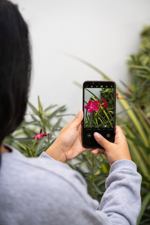 Bắt trọn &ldquo;khoảnh khắc Instagram&rdquo; c&ugrave;ng Nokia 8.1 - Ảnh 4.