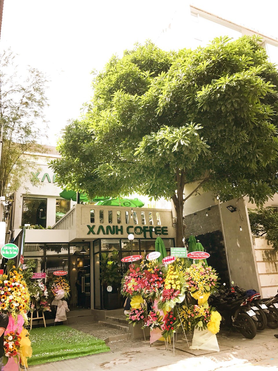 Xanh Coffee khuấy động ở &ldquo;khu phố c&agrave; ph&ecirc;&rdquo; S&agrave;i G&ograve;n &ldquo;h&uacute;t&rdquo; nhiều nghệ sĩ Việt - Ảnh 1.