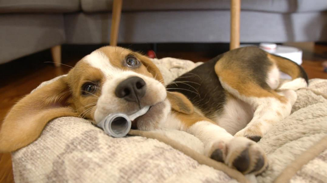 Bộ phim ngắn đầy cảm x&uacute;c đang được giới trẻ truyền tay: Đừng để r&aacute;c thải c&oacute; cơ hội chia rẽ những t&igrave;nh bạn đẹp - Ảnh 6.