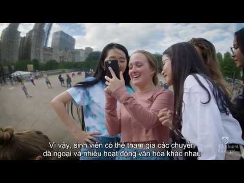 Học bổng du học hè lên tới 87 triệu đồng tại Đại học Elmhurst, thành phố Chicago, Mỹ - Ảnh 2.