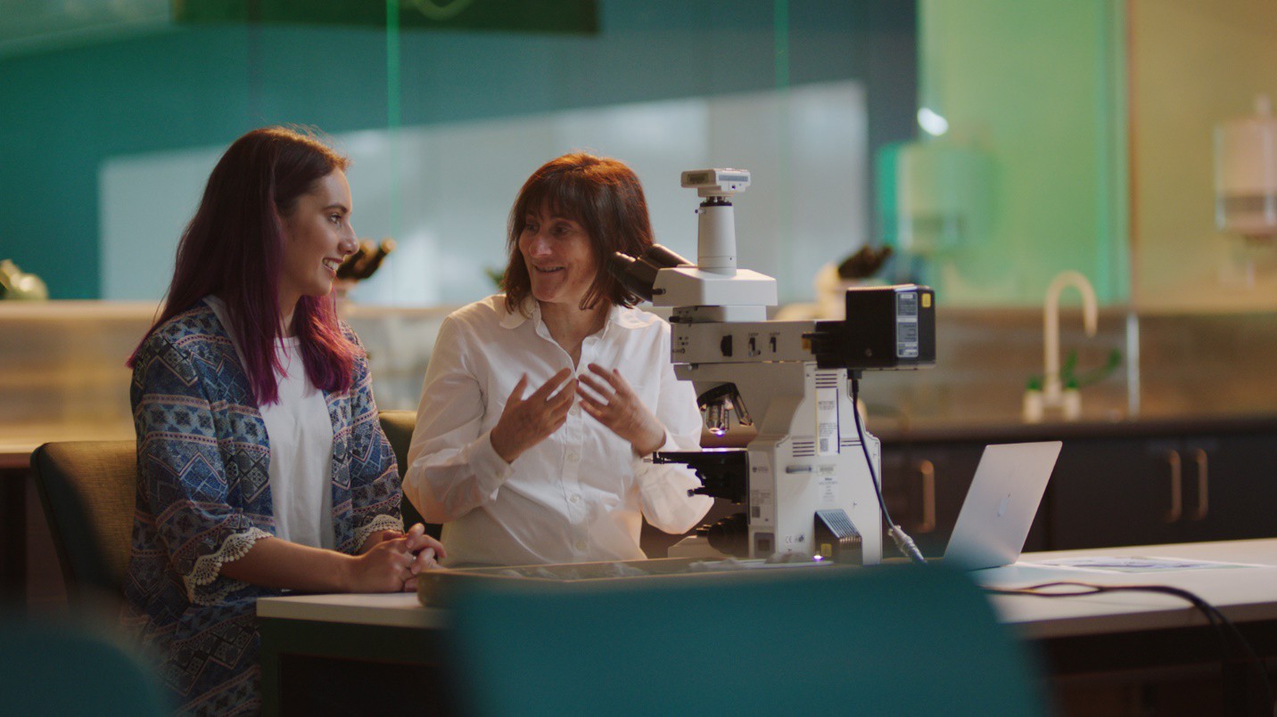 M&ecirc; học h&agrave;ng kh&ocirc;ng hay phi c&ocirc;ng, t&igrave;m hiểu từ A-Z cơ hội du học tại New Zealand - Ảnh 4.