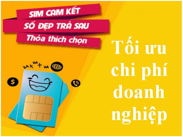 Sim cam kết: lời giải bài toán tối ưu chi phí doanh nghiệp - Ảnh 2.