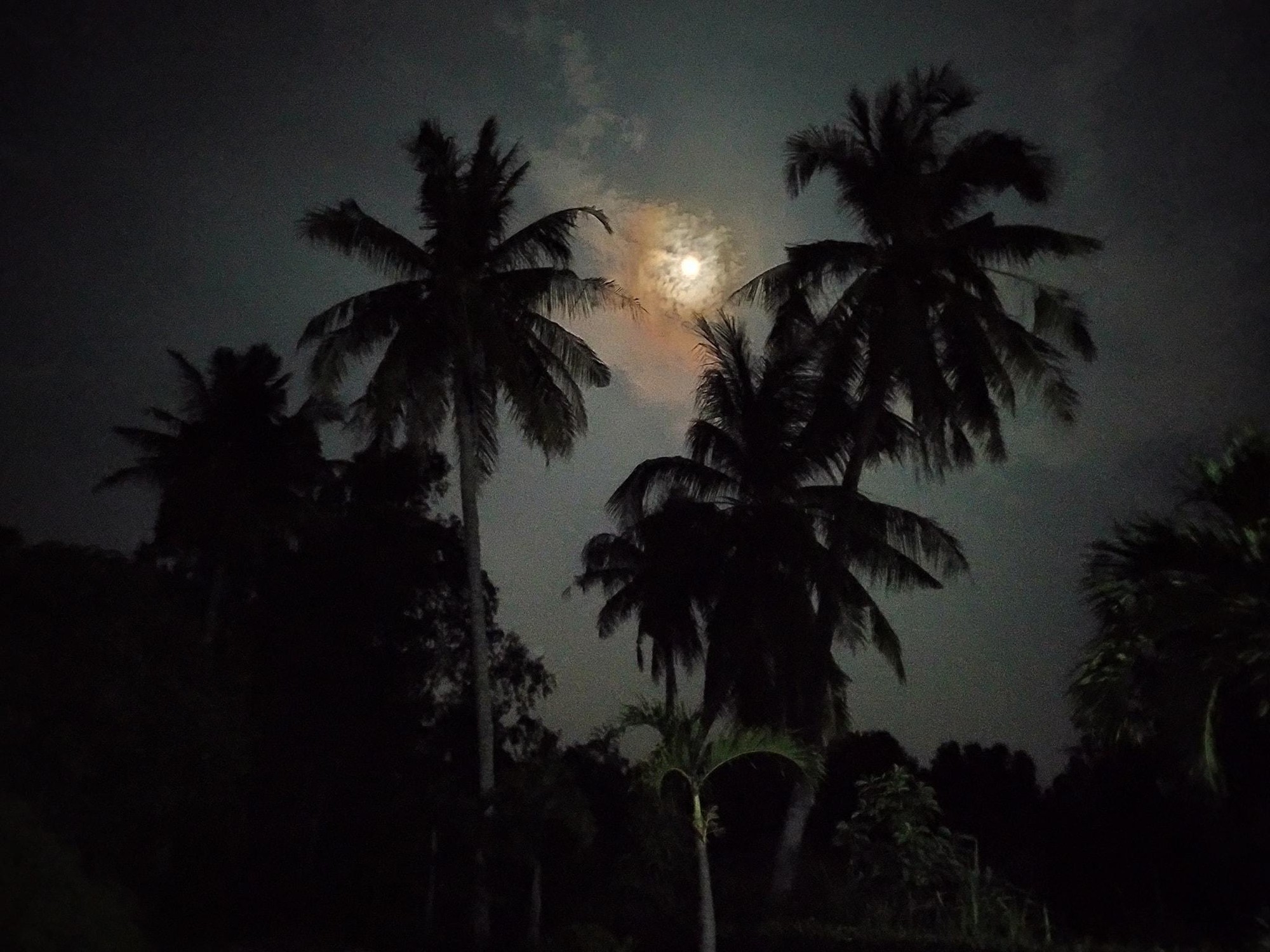 Thử thách chụp ảnh Mặt Trăng bằng điện thoại gây bão cộng đồng mạng - Ảnh 6.