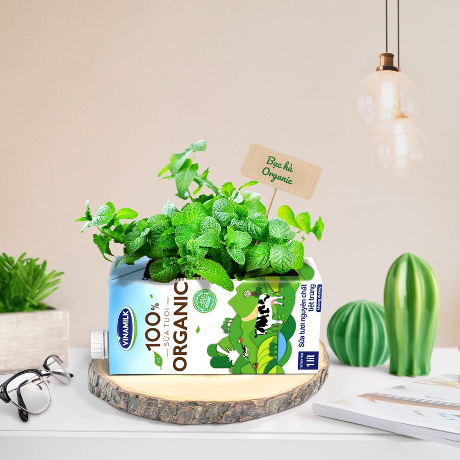 Giải mã xu hướng Organic – Cơn sốt sống xanh từ Âu, Mỹ - Ảnh 4. Giải mã xu hướng Organic – Cơn sốt sống xanh từ Âu, Mỹ - Ảnh 4.