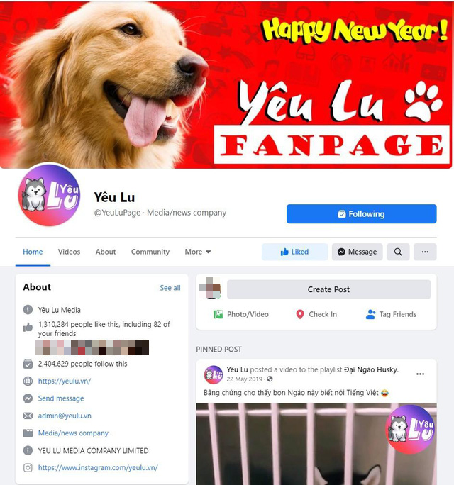 Yêu Lu: Fanpage thu hút hàng triệu tín đồ yêu thú cưng - Ảnh 1.