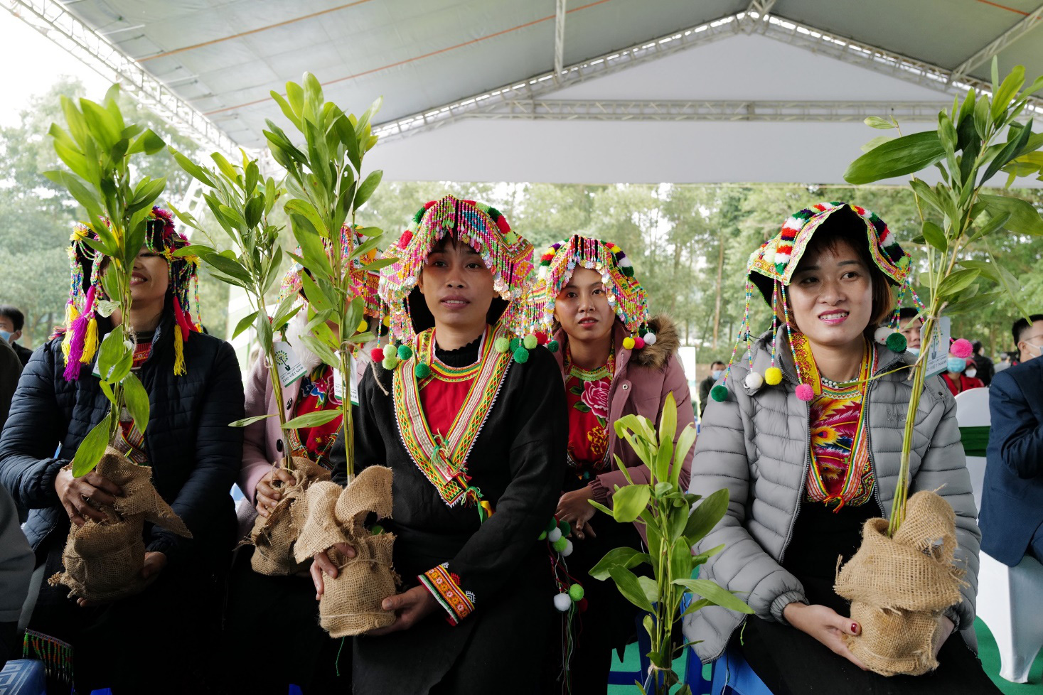 Trao tặng thêm 270.000 cây xanh, Vinamilk và Quỹ 1 triệu cây xanh cho Việt Nam chính thức hoàn thành mục tiêu đề ra - Ảnh 4.
