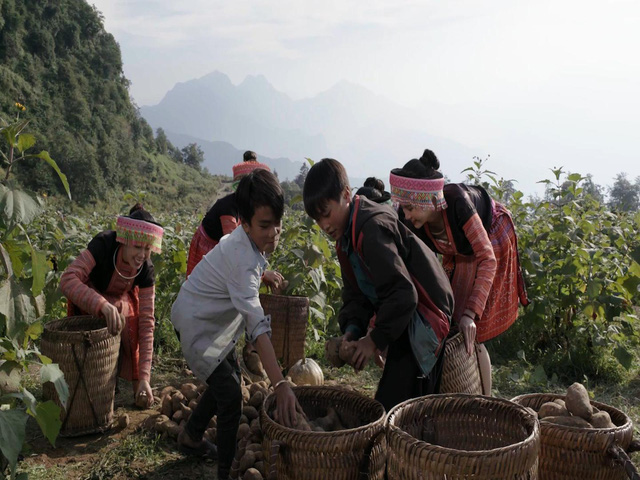 Tìm hiểu 2 vùng nguyên liệu làm nên sản phẩm nước giải khát đặc biệt dành cho người cao tuổi - Ảnh 3.