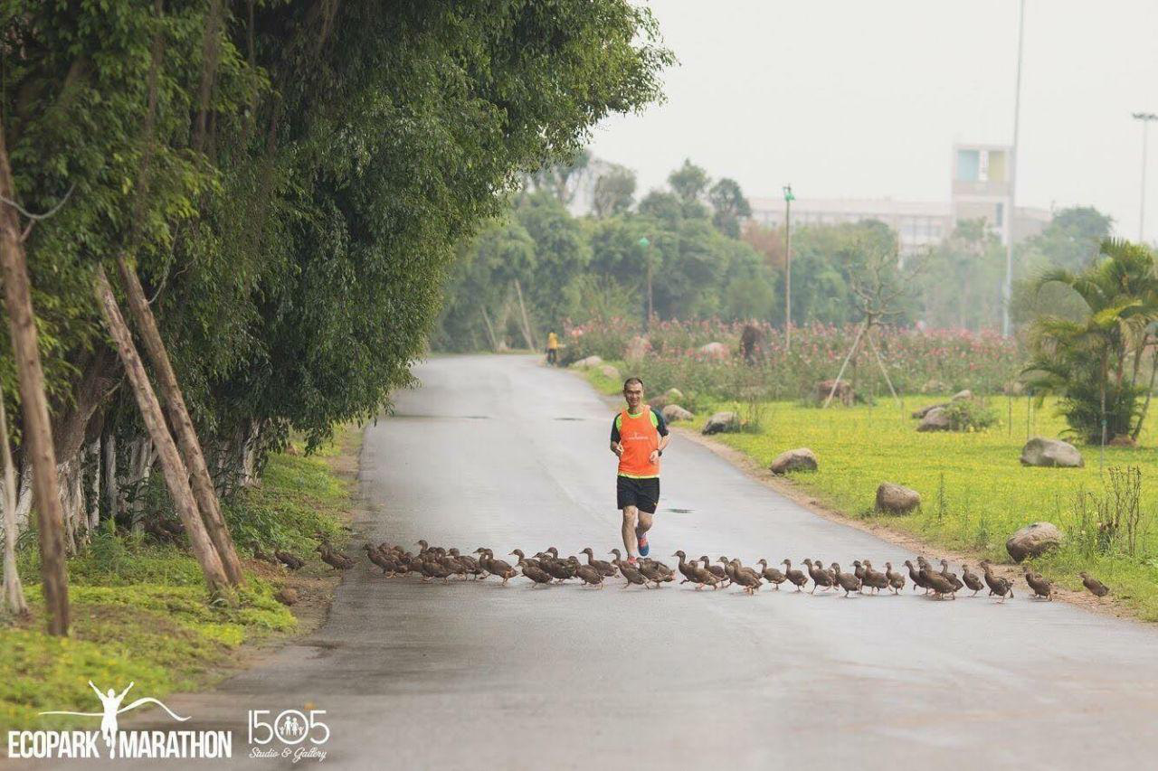 Bên trong đại công viên sinh thái lớn bậc nhất phía Đông Hà Nội có gì? - Ảnh 9.