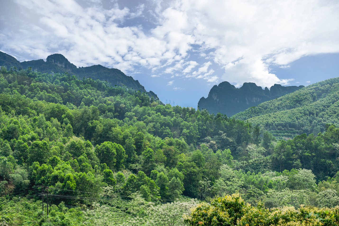 Dòng vốn đầu tư bất động sản nghỉ dưỡng đang chuyển hướng về đâu? - Ảnh 1.