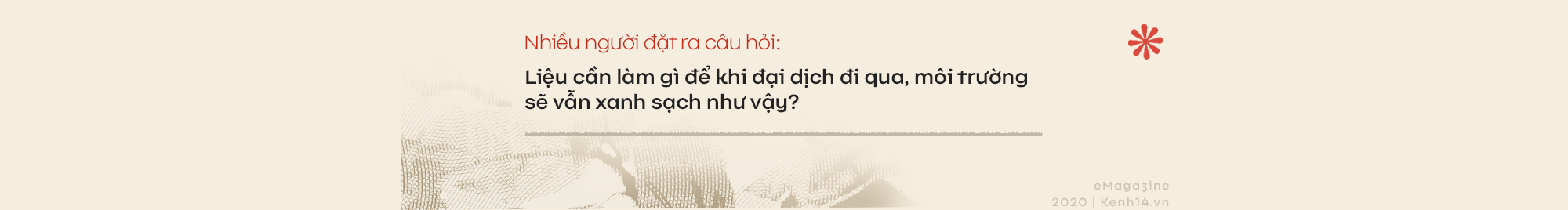 Người Việt trẻ đang nỗ lực giải cứu môi trường thời “hậu dịch” - Ảnh 1.