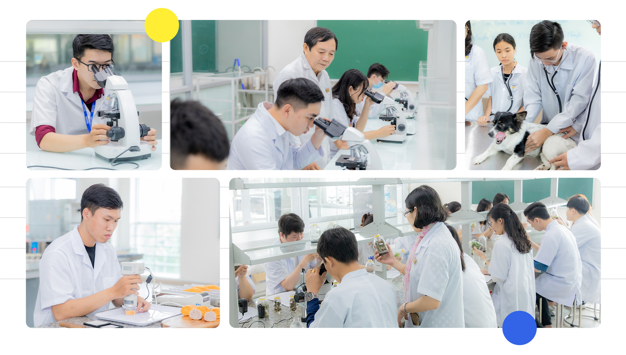 Lựa chọn trường đại học: Không chỉ để học mà còn là gửi gắm cả tương lai - Ảnh 3.