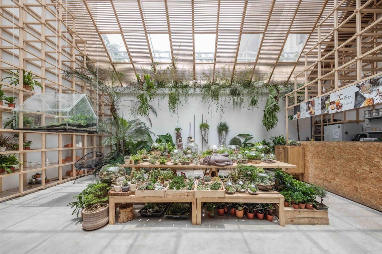 Tropical Forest x Fordeer - Những khu rừng nhiệt đới giữa l&ograve;ng H&agrave; Nội - Ảnh 2.