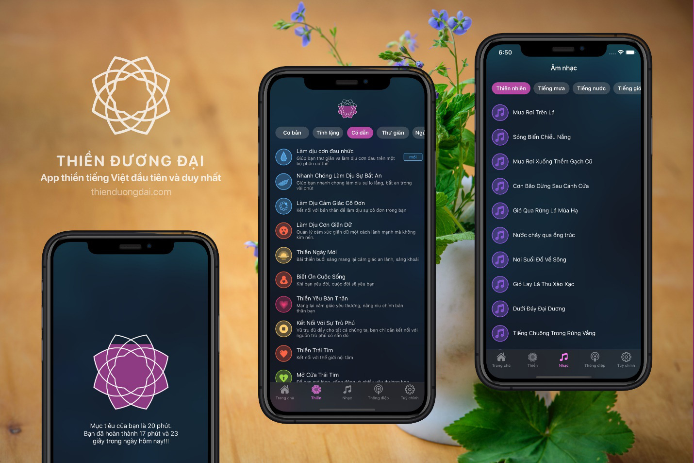 Thiền Đương Đại: Khám Phá Lợi Ích và Thực Hành Để Tìm Về Bình An Nội Tâm