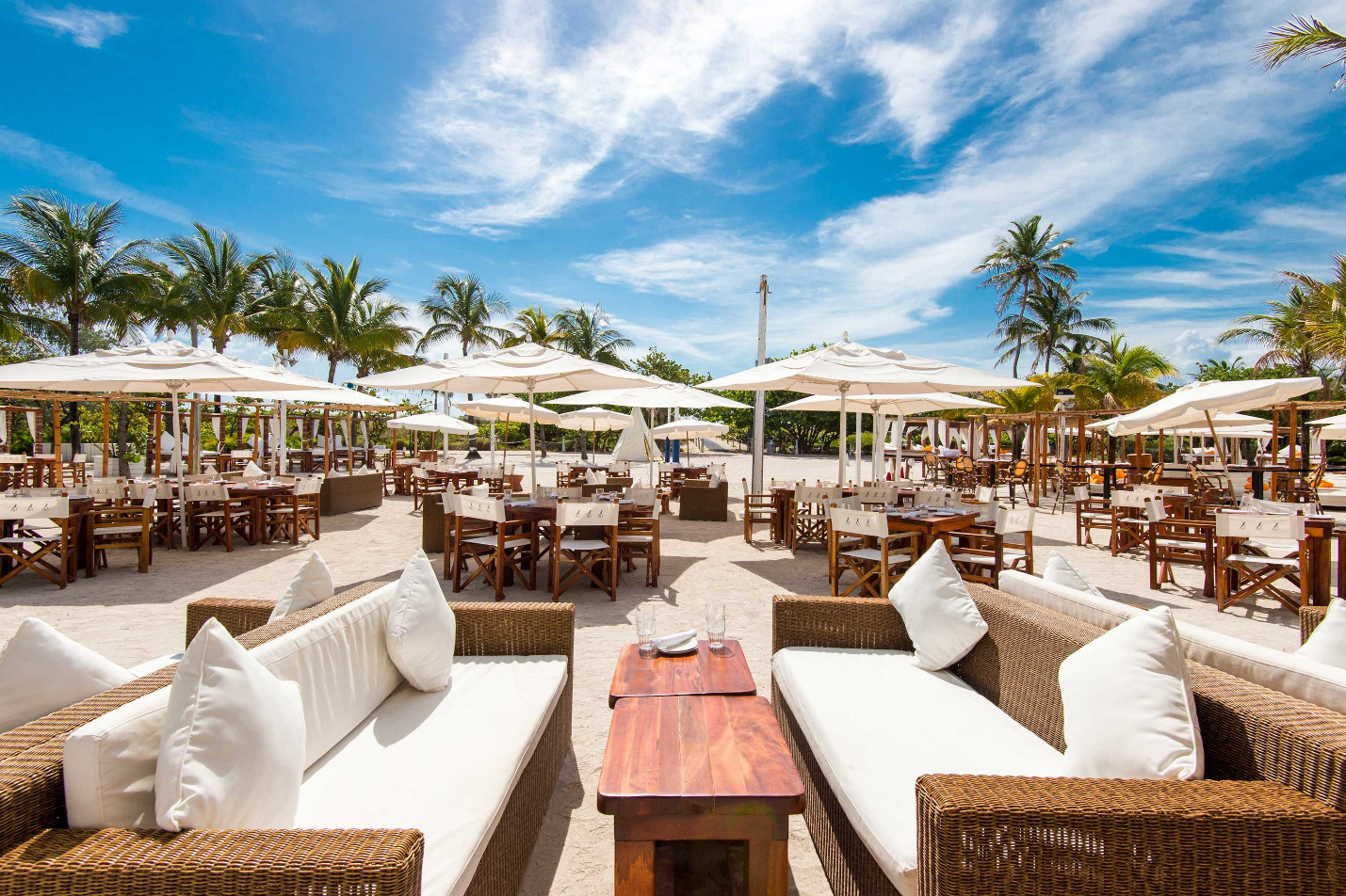 Mô hình beach club đã 