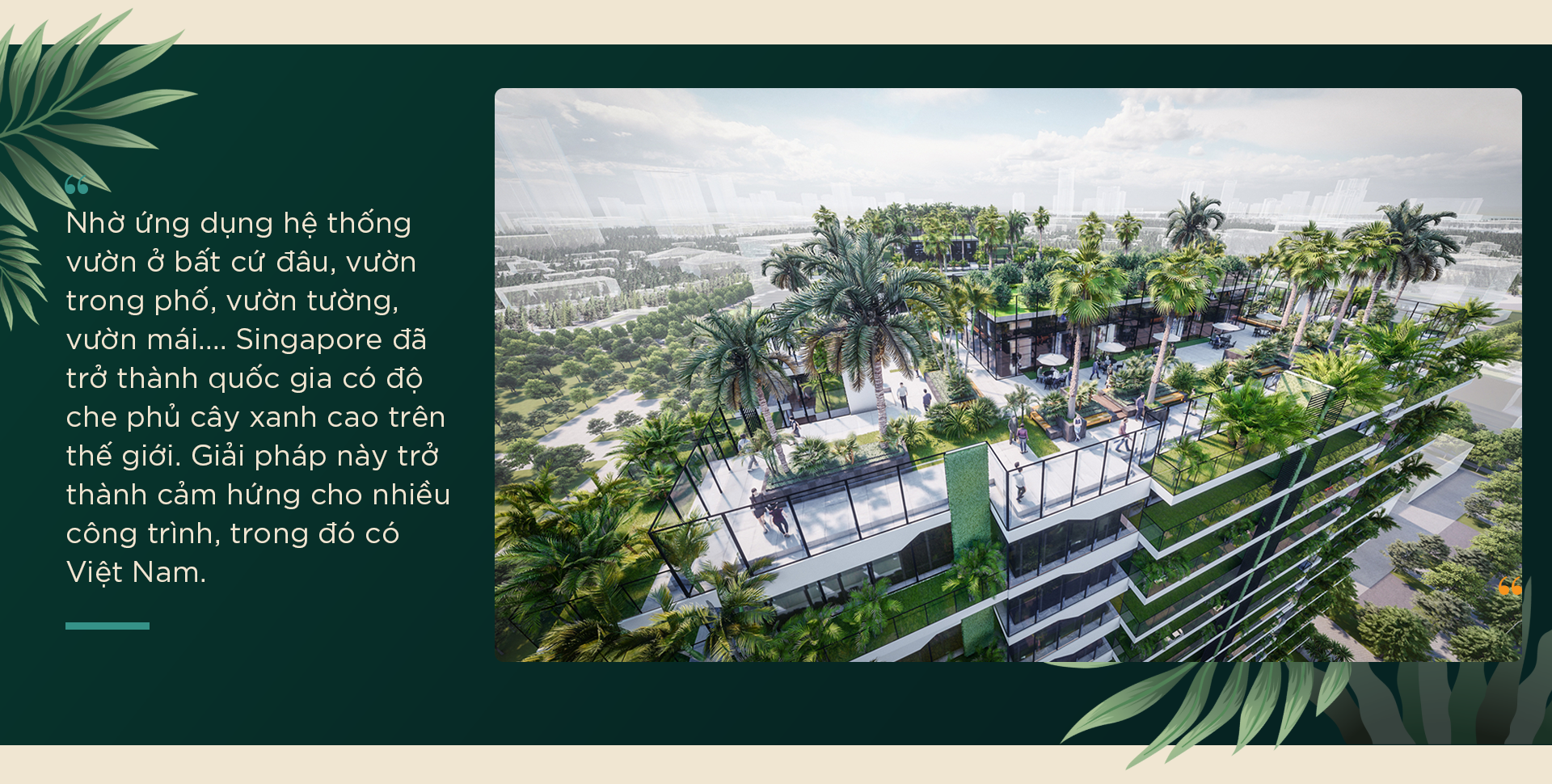 An cư nơi phố: Hơi thở resort xanh mướt và hơn thế nữa… - Ảnh 5. An cư nơi phố: Hơi thở resort xanh mướt và hơn thế nữa… - Ảnh 5.