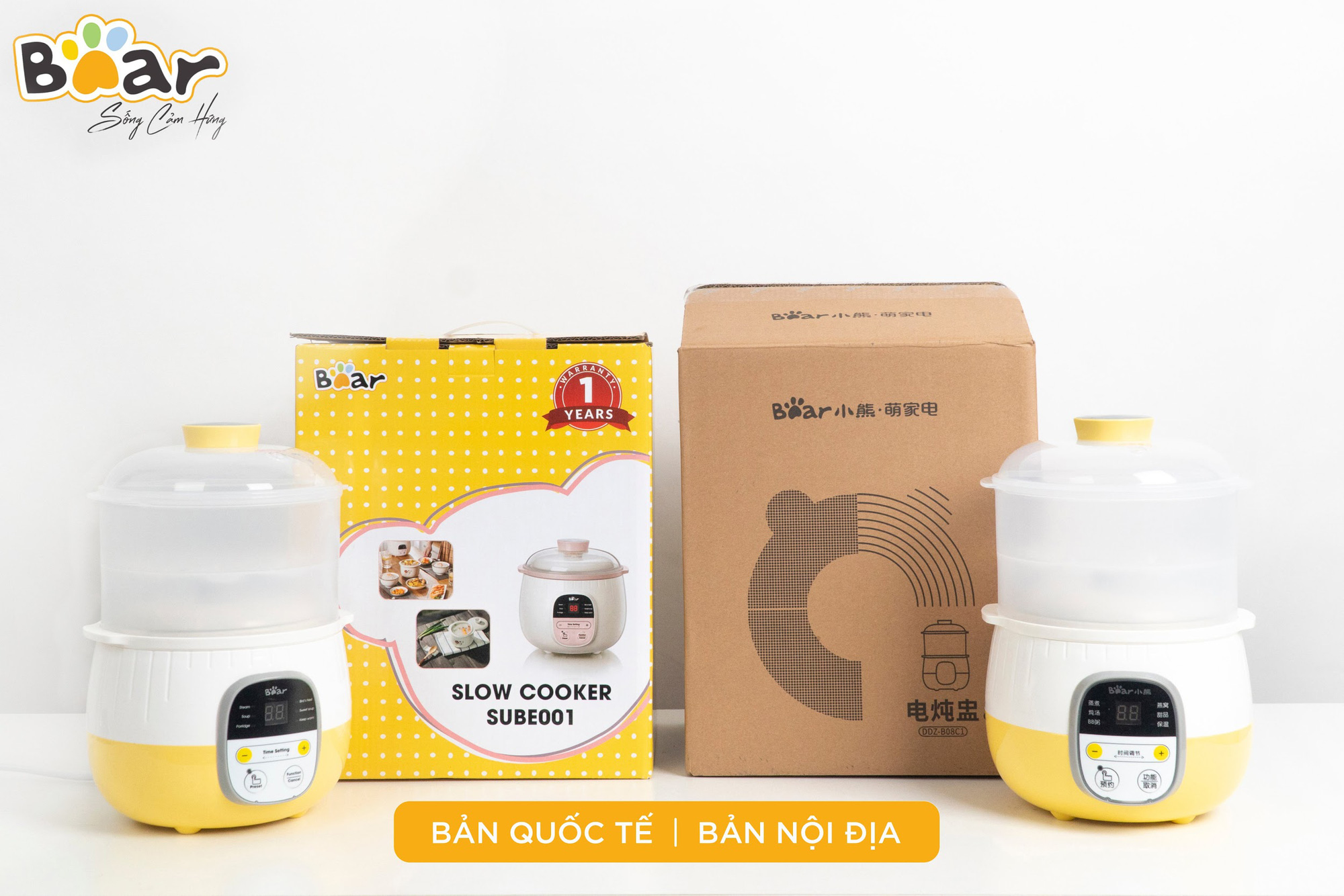 Con Đường Thần Tốc Giúp Đồ Gia Dụng Bear Chinh Phục Thị Trường Việt