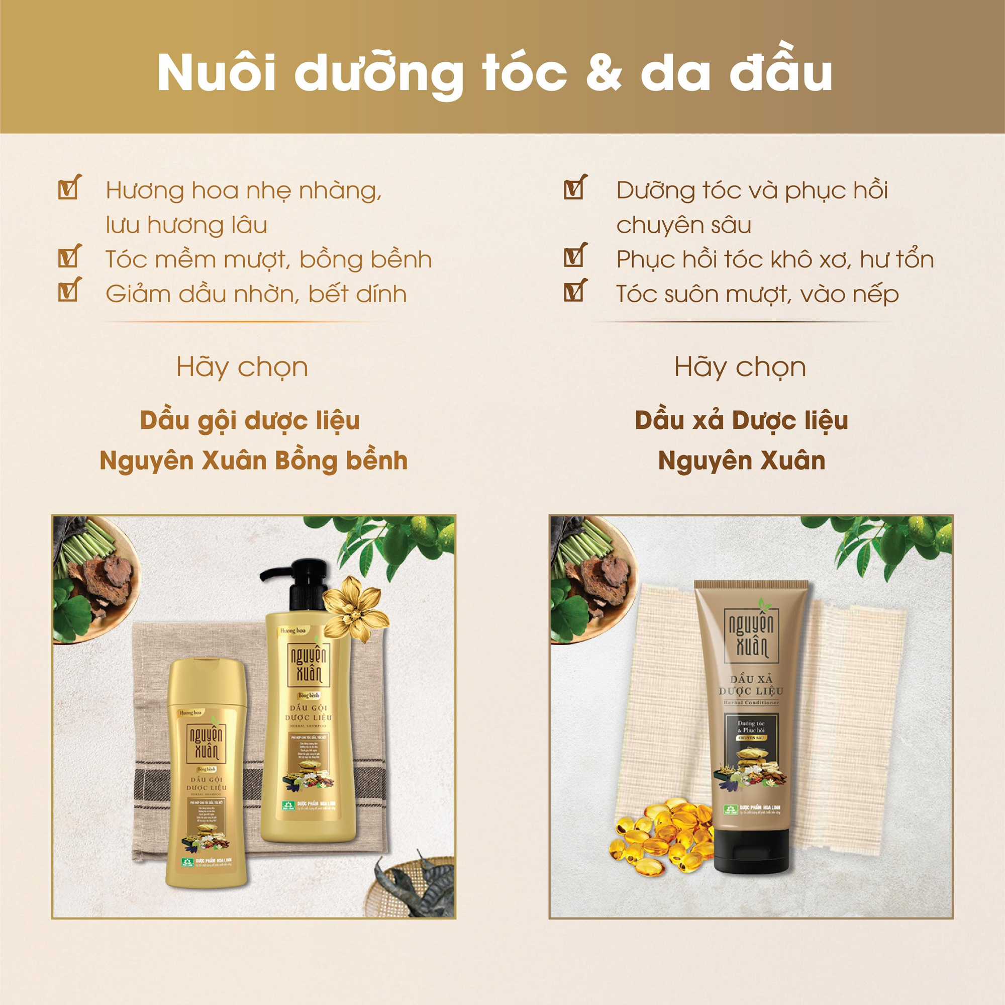 Có gì trong chai dầu gội dược liệu dưỡng tóc chị em coi là “chân ái”? - Ảnh 3. Có gì trong chai dầu gội dược liệu dưỡng tóc chị em coi là “chân ái”? - Ảnh 3.