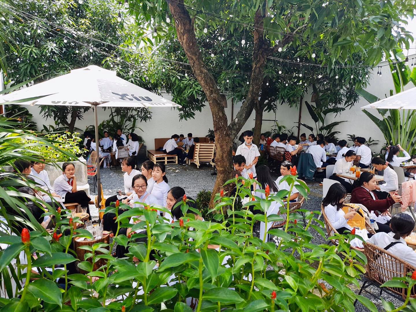 Trà sữa Xíu - điểm đến hấp dẫn của giới trẻ tại Bến Tre - Ảnh 2. Trà sữa Xíu - điểm đến hấp dẫn của giới trẻ tại Bến Tre - Ảnh 2.