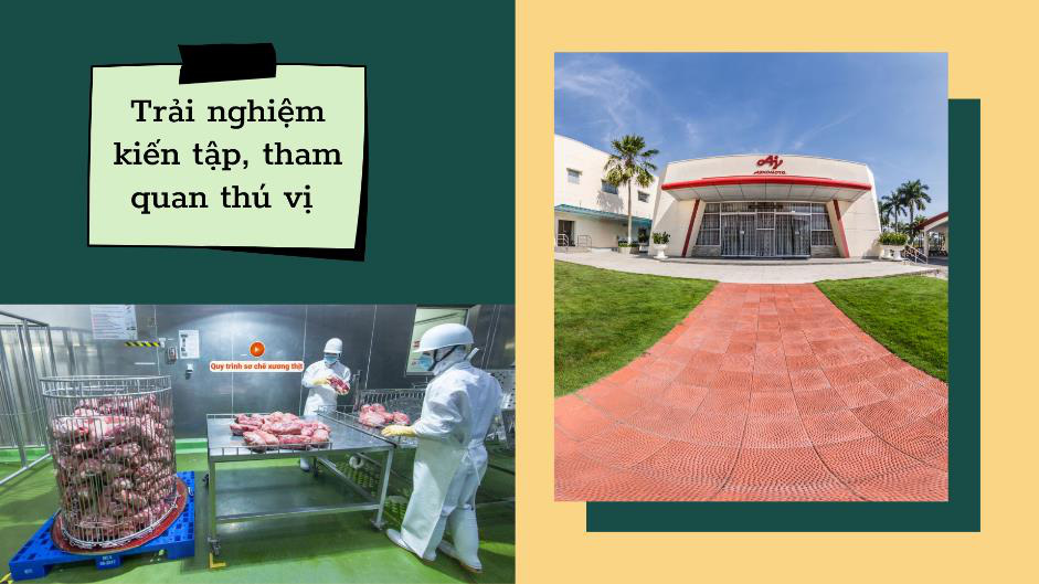 Kiến tập kiểu mới từ Ajinomoto Việt Nam giúp sinh viên không bỏ lỡ cơ hội trong mùa dịch - Ảnh 3. Kiến tập kiểu mới từ Ajinomoto Việt Nam giúp sinh viên không bỏ lỡ cơ hội trong mùa dịch - Ảnh 3.