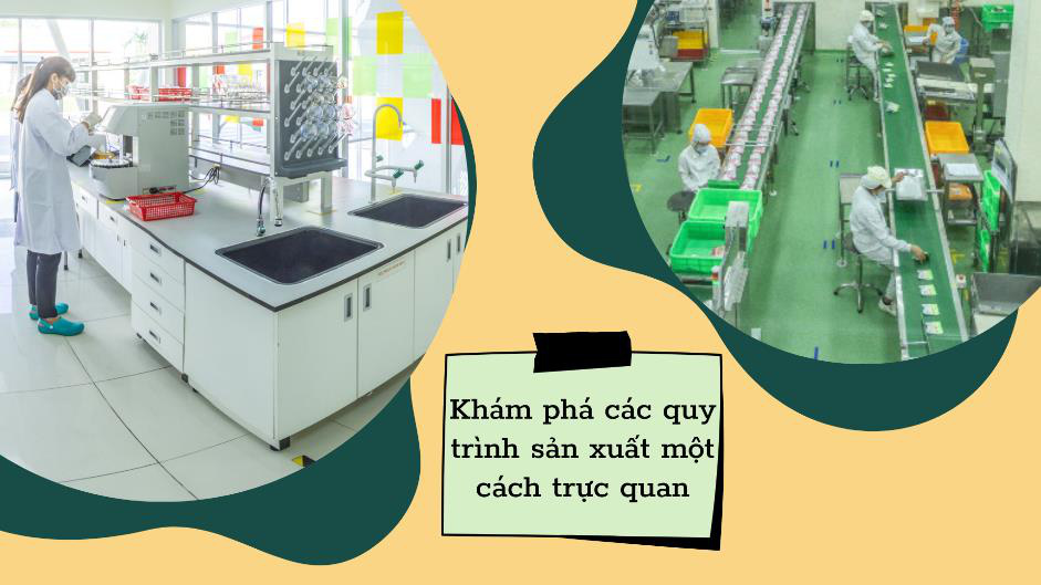 Kiến tập kiểu mới từ Ajinomoto Việt Nam giúp sinh viên không bỏ lỡ cơ hội trong mùa dịch - Ảnh 4. Kiến tập kiểu mới từ Ajinomoto Việt Nam giúp sinh viên không bỏ lỡ cơ hội trong mùa dịch - Ảnh 4.