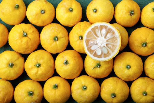 Ghiền Vitamin C nhưng bạn đã biết về chiết xuất Vitamin C trong quả Yuzu chưa? - Ảnh 1.