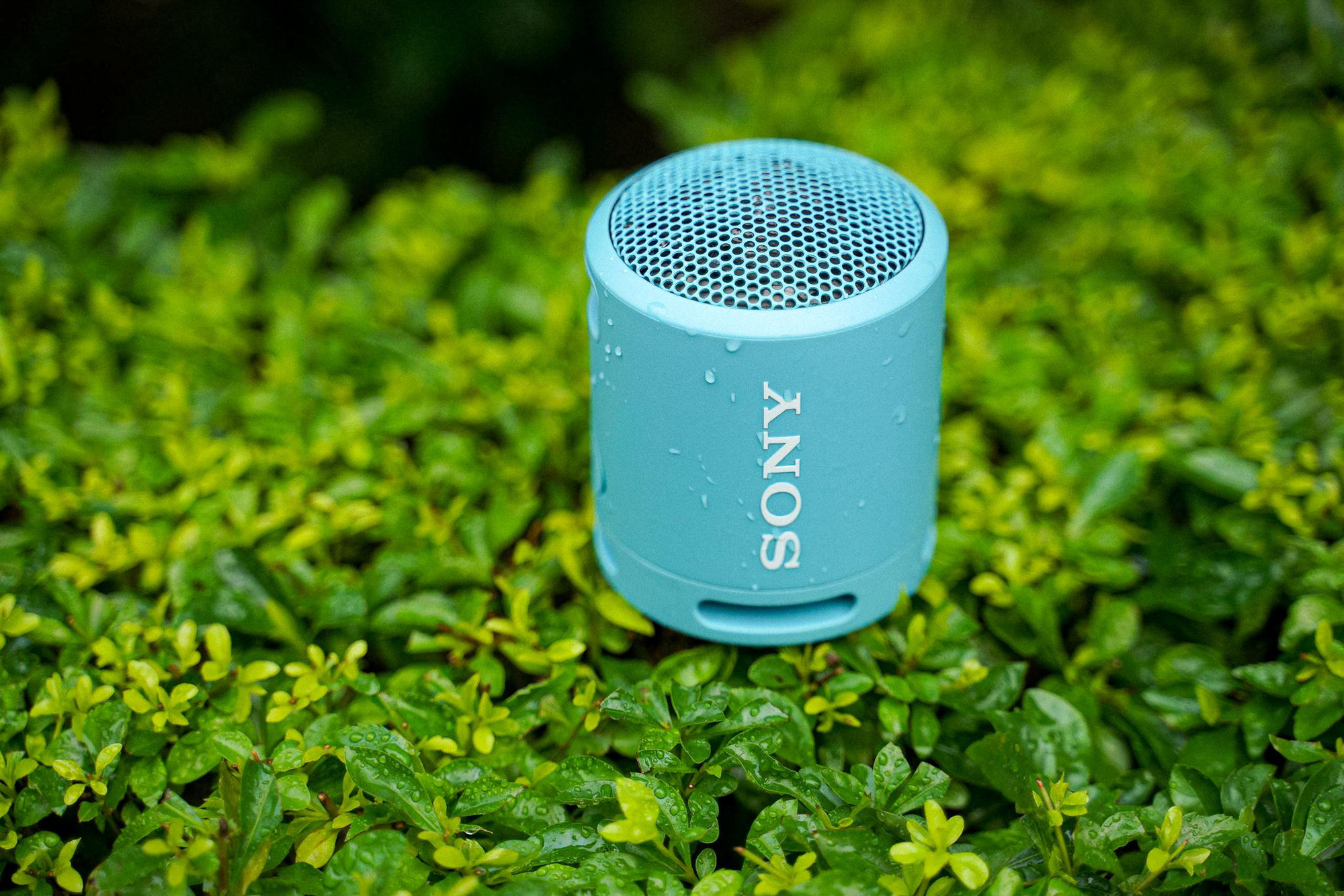 Đây là Sony SRS-XB13: Loa di động “must-have” của Gen Z, chất âm xịn xò, pin bền lại chống bụi/nước - Ảnh 5. Đây là Sony SRS-XB13: Loa di động “must-have” của Gen Z, chất âm xịn xò, pin bền lại chống bụi/nước - Ảnh 5.