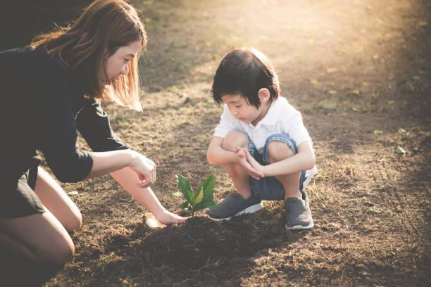 Tin được không, một cây xanh trồng tại nhà, mẹ và bé sẽ chung tay tạo nên rừng lớn - Ảnh 1.