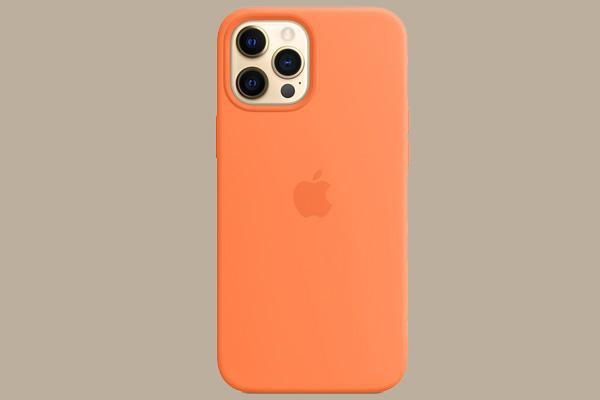 Top 5 iPhone 13 Pro max cases worth buying today - Photo 2.