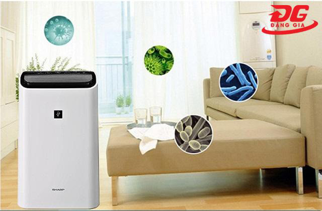 Consulting, choosing to buy a cost-effective air purifier dehumidifier - Photo 3.