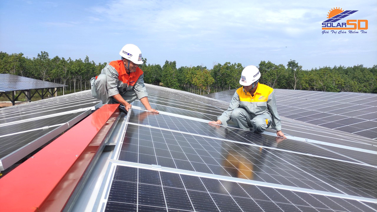 Giải pháp Zero Export – Cơ hội đầu tư điện mặt trời cho các doanh nghiệp - Ảnh 1.