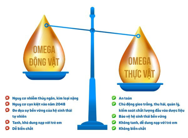 Sự thật về Omega thực vật và Omega động vật mà mẹ cần biết - Ảnh 1.