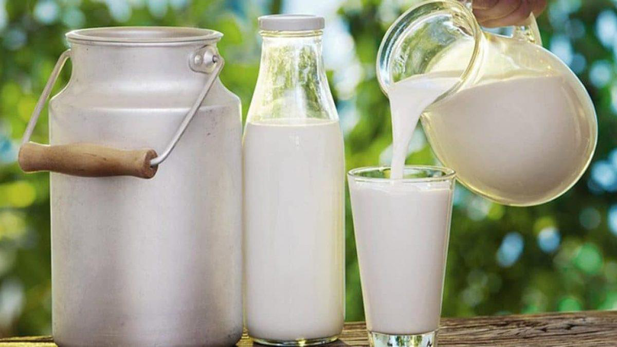 Ai cũng biết là uống sữa tốt nhưng đây mới là loại sữa nên được bổ sung hàng ngày vì mang lại nhiều lợi ích bất ngờ - Ảnh 1.