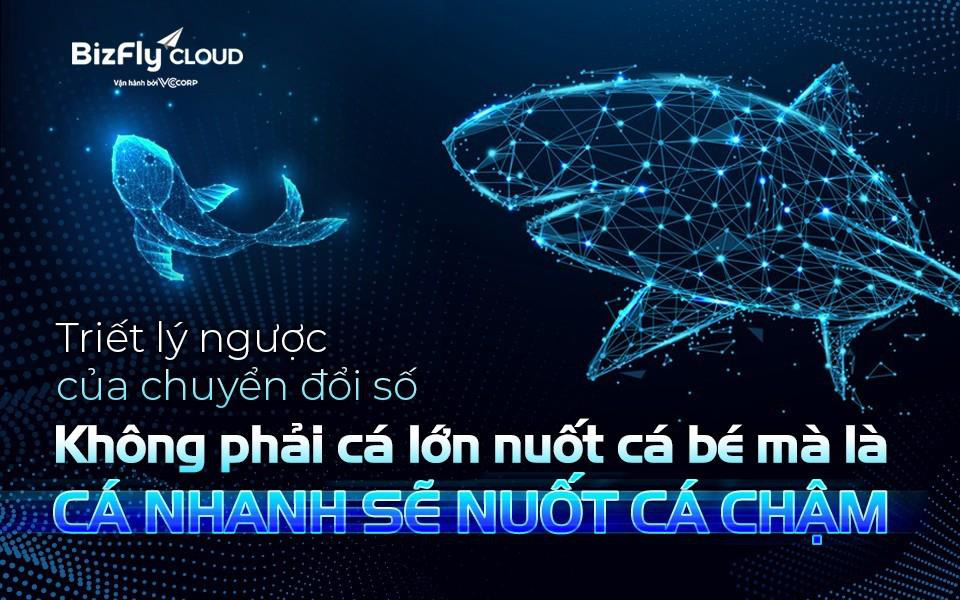 Triết lý ngược của chuyển đổi số: Không phải cá lớn nuốt cá bé mà là cá nhanh sẽ nuốt cá chậm - Ảnh 1. Triết lý ngược của chuyển đổi số: Không phải cá lớn nuốt cá bé mà là cá nhanh sẽ nuốt cá chậm - Ảnh 1.
