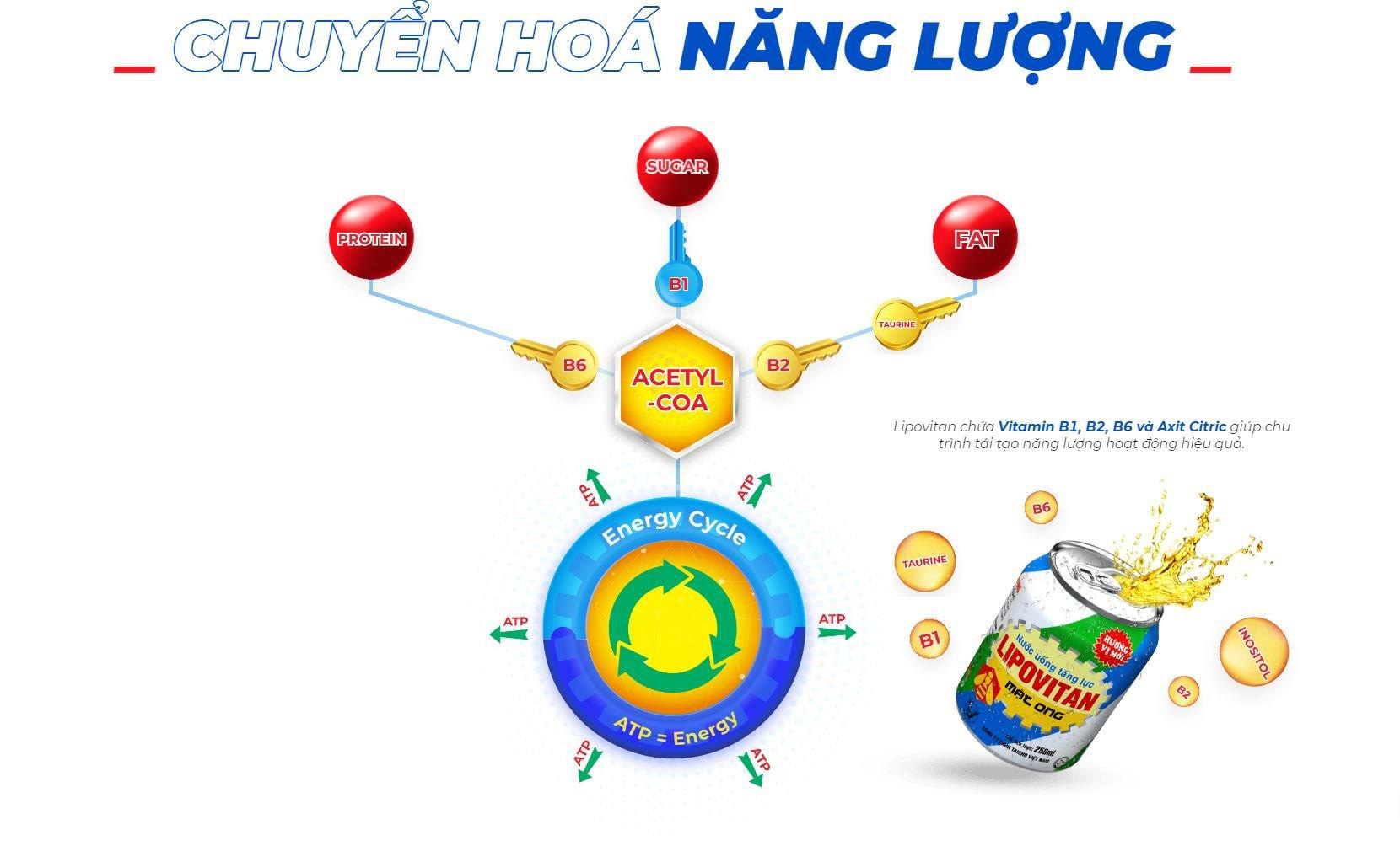 Fan của nước tăng lực không nên bỏ qua sản phẩm này! - Ảnh 2.