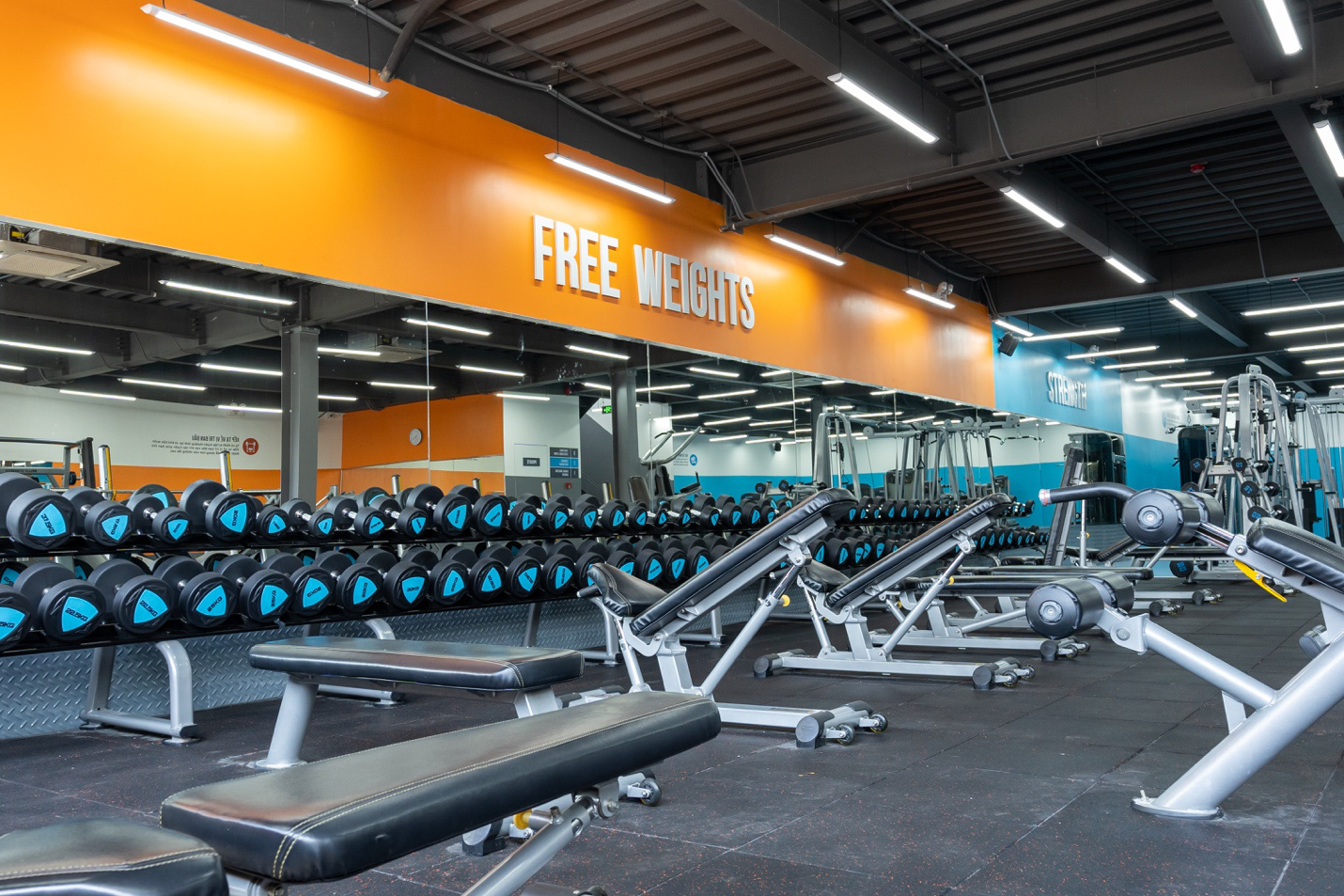 Gymer Bình Thạnh đứng ngồi không yên chờ ngày The New Gym khai trương - Ảnh 3.