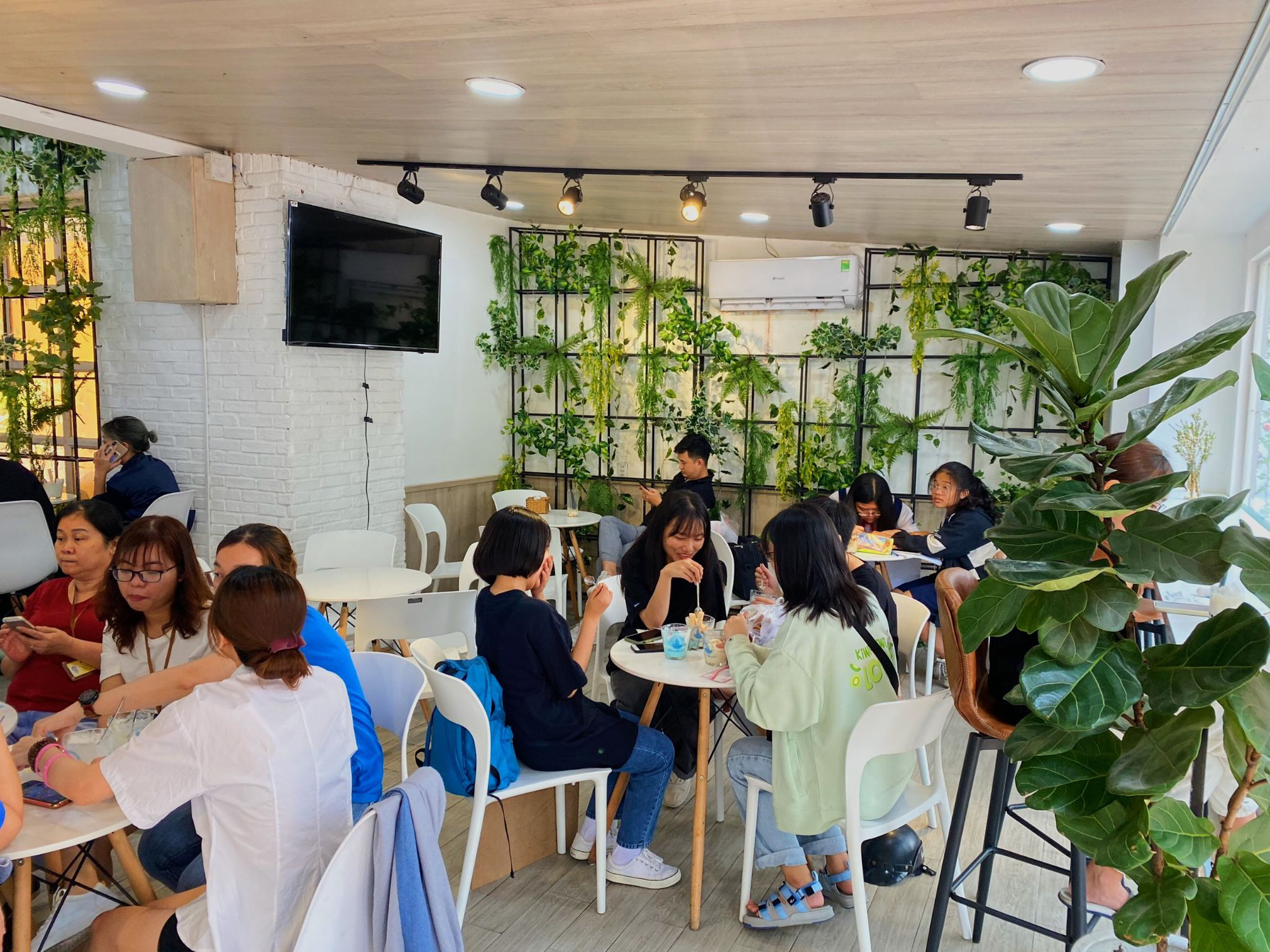 Tặng 25.000 ly sữa chua, sữa chua trân châu Hạ Long khuấy đảo giới trẻ - Ảnh 6.
