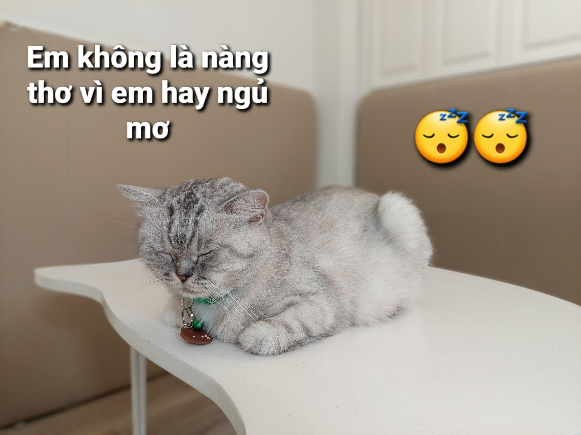 Một loạt meme vui nhộn với hoàng thượng dưới đây chắc chắn sẽ khiến không ít người save về liền tay - Ảnh 7.