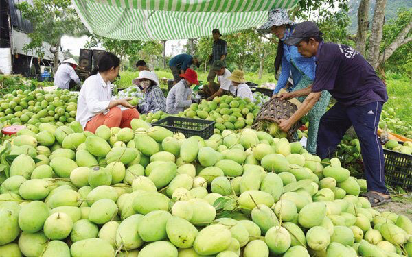 Nghịch lý sản lượng xuất khẩu cao, nhưng giá thấp trong ngành chế biến nông sản Việt và giải pháp khắc phục - Ảnh 1.