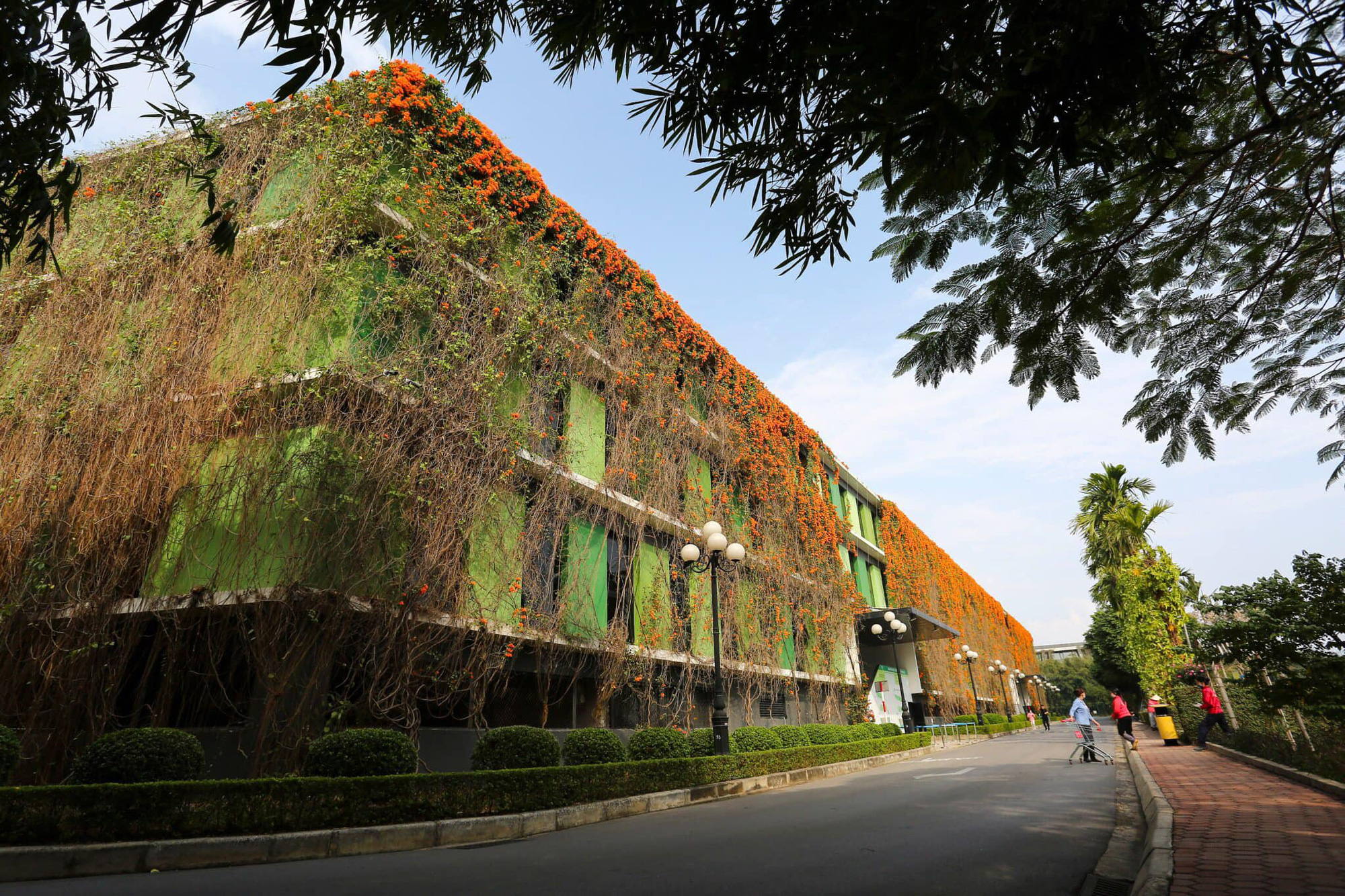 Campus xanh “quên lối về” của dân công nghệ ngay tại Hà Nội - Ảnh 2.