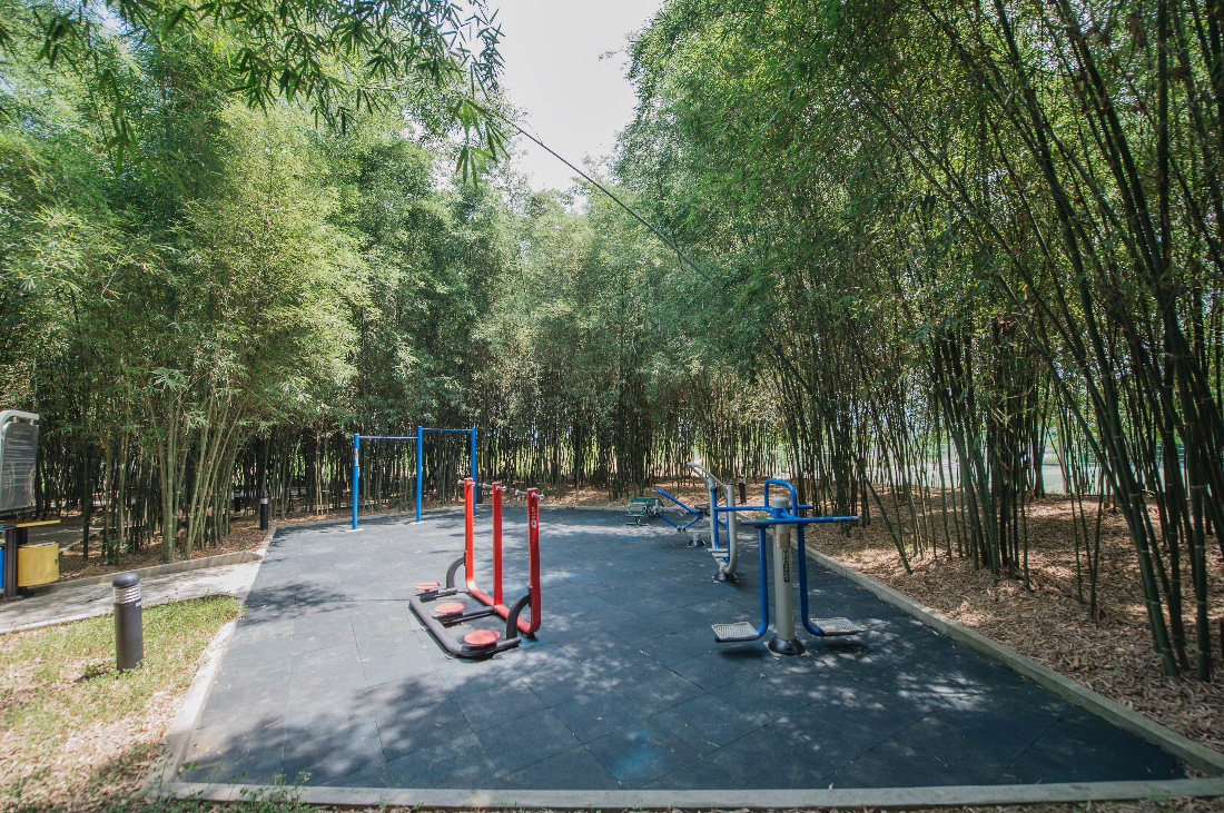 Campus xanh “quên lối về” của dân công nghệ ngay tại Hà Nội - Ảnh 11.