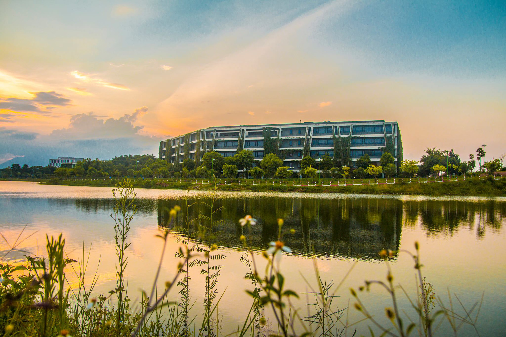 Campus xanh “quên lối về” của dân công nghệ ngay tại Hà Nội - Ảnh 13.