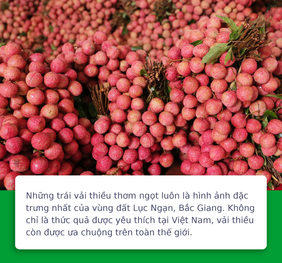 Vải Lục Ngạn Bắc Giang tiêu thụ khó, đã có Grab lo - Ảnh 1.