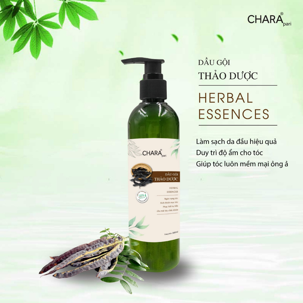 Lê Bảo Bình ra mắt thương hiệu mỹ phẩm Chara - Ảnh 3. Lê Bảo Bình ra mắt thương hiệu mỹ phẩm Chara - Ảnh 3.