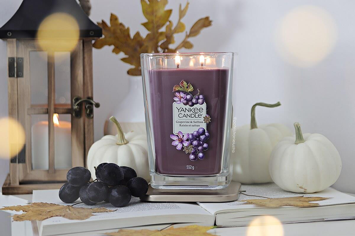 Ở nhà thì làm gì? 7 hoạt động ở nhà vẫn chill dưới đây sẽ khiến bạn không còn thấy chán òm khi phải bó gối một chỗ - Ảnh 13.