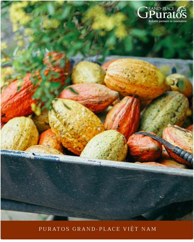 Puratos Grand-Place Việt Nam và triết lý đặt con người làm trung tâm của sự phát triển bền vững vì môi trường và Trái đất - Ảnh 2. Puratos Grand-Place Việt Nam và triết lý đặt con người làm trung tâm của sự phát triển bền vững vì môi trường và Trái đất - Ảnh 2.