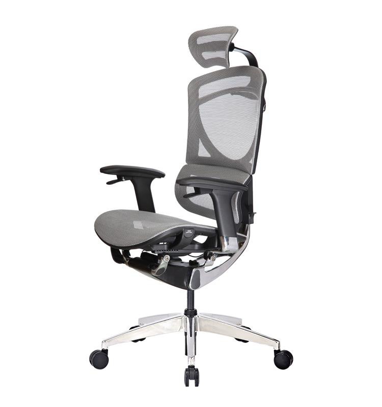 DandiHome tư vấn chọn lựa ghế công thái học ergonomic chất lượng - Ảnh 4.