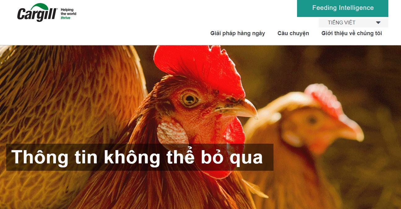 Hướng tới chăn nuôi bền vững với giải pháp toàn diện từ Cargill - Ảnh 2.
